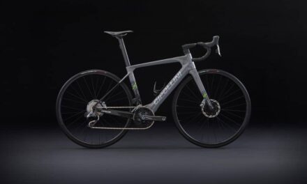 Leichtes und kompaktes Antriebssystem für E-Bikes