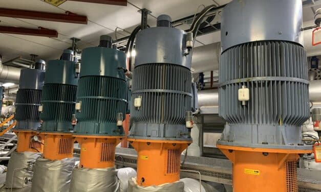 Energie-Audit als digitaler Service