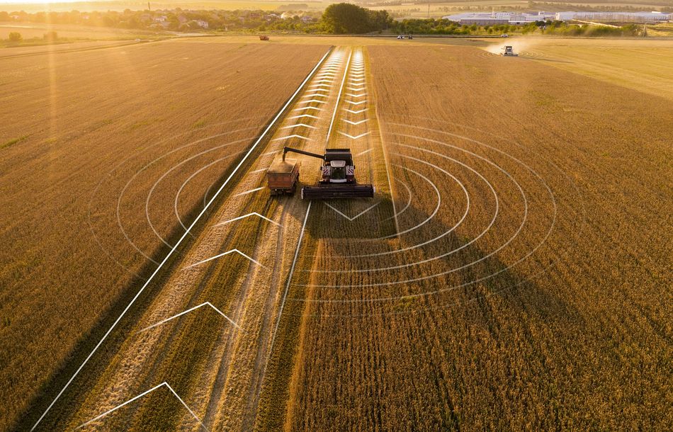 Autonome Landmaschine auf einem Getreidefeld bei der Ernte
