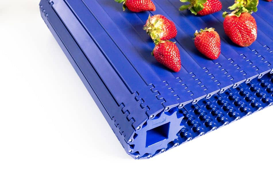 Habasit präsentiert auf der Fachmesse Fruit Logistica Transportbandlösungen für die Obst- und Gemüseverarbeitung